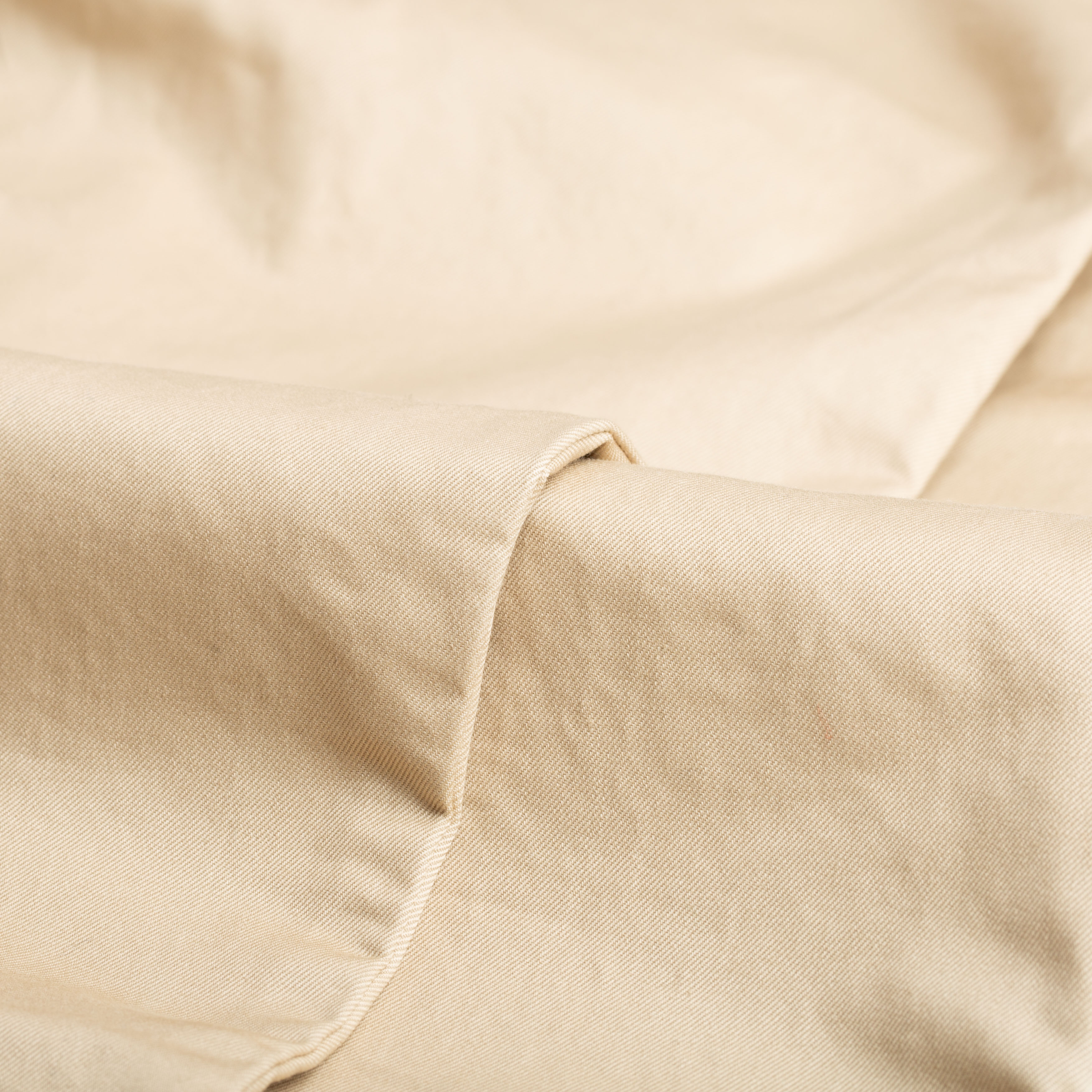 BEAMS PLUS / 1 Pleat 80/3 Twill Trousers Beige