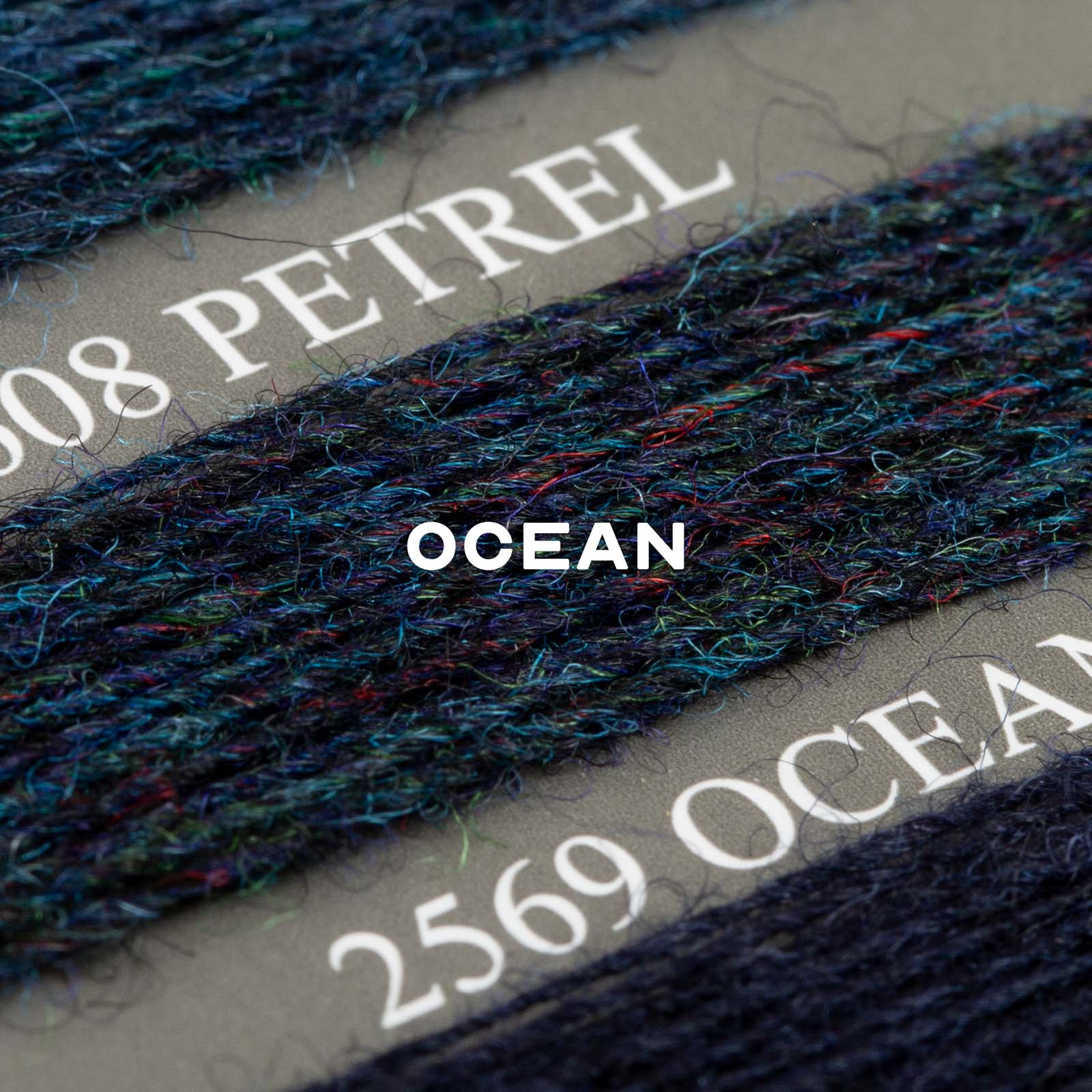 Ocean