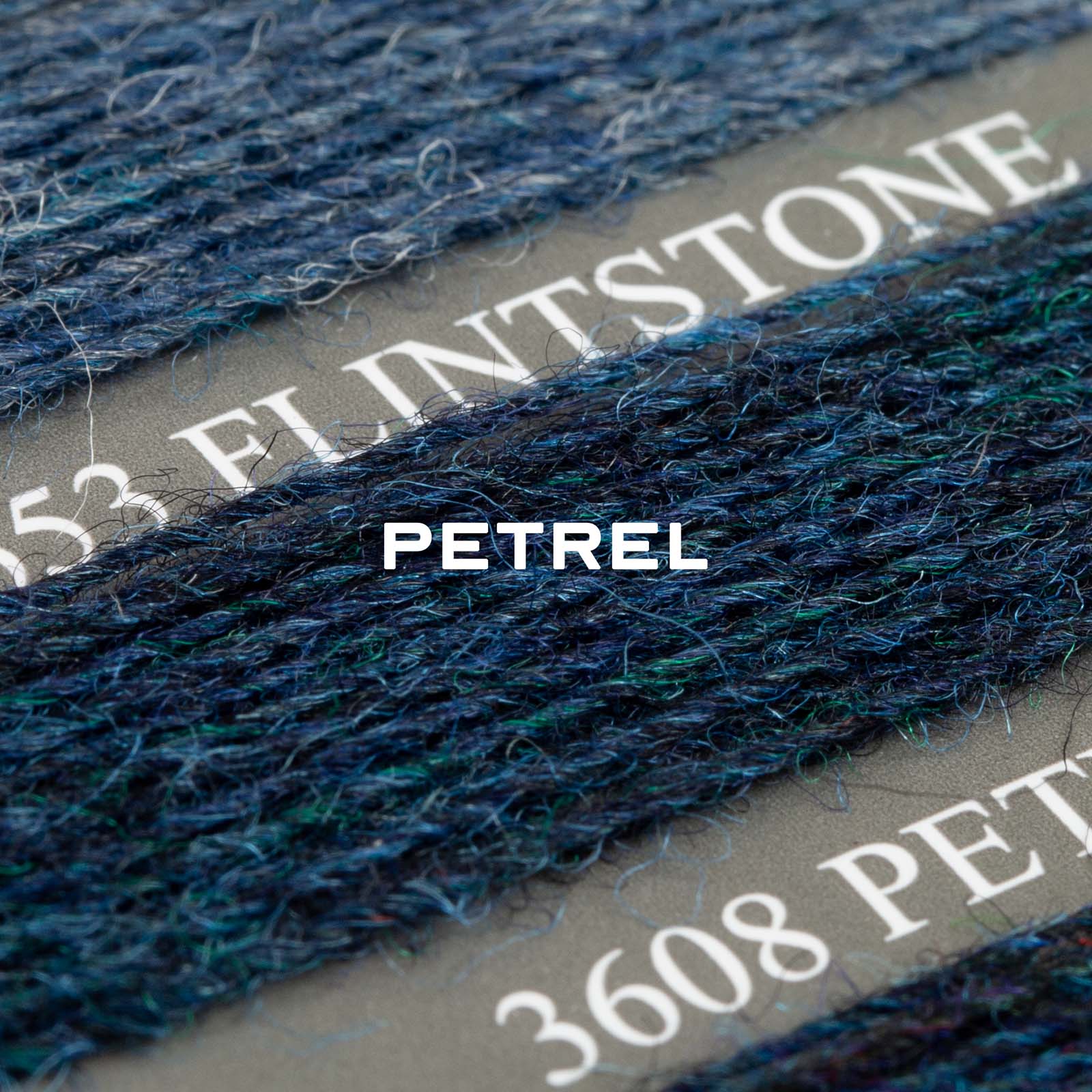 Petrel