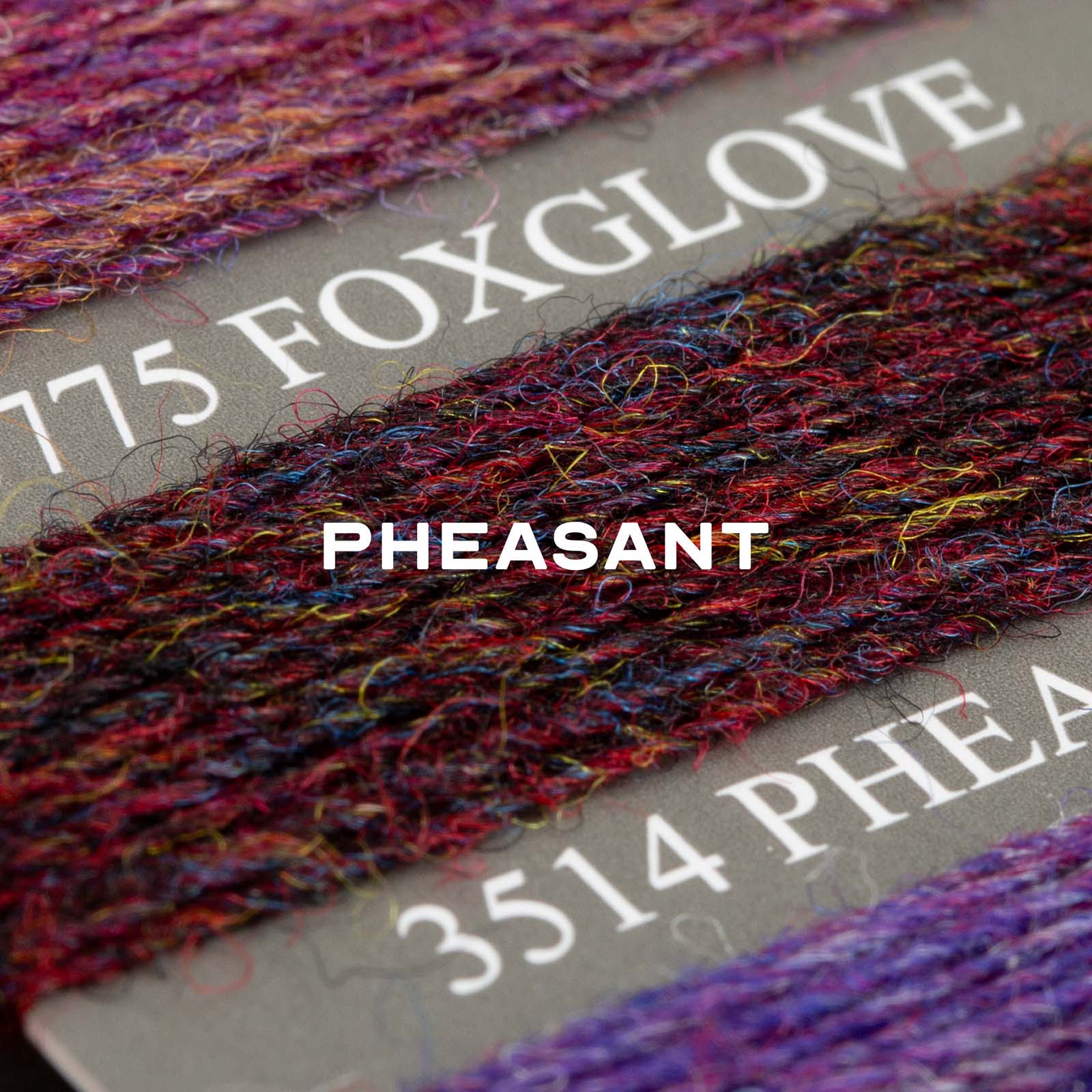 Pheasant